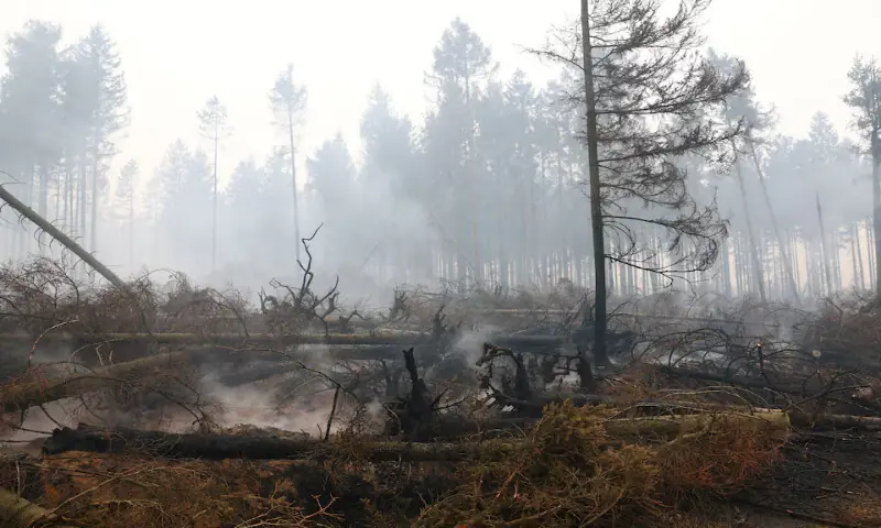 Smoke rises amid scorched trees in the area affected by wildfire near Malmedy, Belgium, on Sunday. -- Reuters