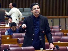 People in Sindh purchasing flour at expensive rates due to lower releases by provincial govt: Hammad Azhar