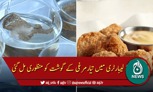 لیب میں تیار کردہ مرغی کے "گوشت" کی منظوری