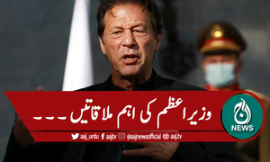 وزیراعظم عمران خان کی اہم ملاقاتیں