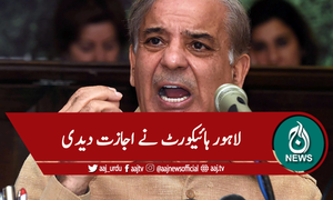 شہباز شریف کو بیرون ملک جانیکی اجازت