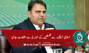 فلسطینی پالیسی کے امین عمران خان قرار