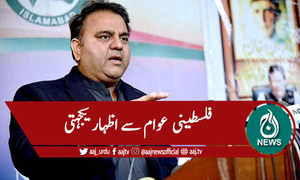 فواد چوہدری کی فلسطینی سفیر سے ملاقات، اظہار یکجہتی