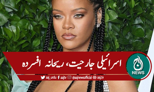 فلسطین پر اسرائیلی جارحیت، ریحانہ بھی افسردہ