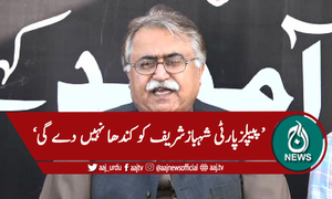 'شہباز شریف بساط بچھارہے ہیں'