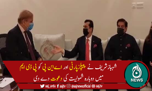 شہبازشریف کی پیپلزپارٹی اور اے این پی کو پی ڈی ایم میں دوبارہ شمولیت کی دعوت