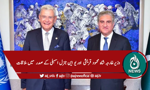 اقوام متحدہ پر فلسطین اور مقبوضہ کشمیرکے تنازعات کے حل پر زور