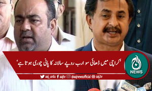 'بلاول اور مراد علی شاہ پانی چور مافیا کے سرغنا ہیں'