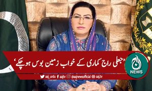 'پی ڈی ایم اب ڈکیت موومنٹ بن چکی ہے'