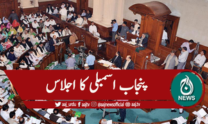 پنجاب کے بجٹ  میں 155 ارب روپے کٹوتی پر احتجاج