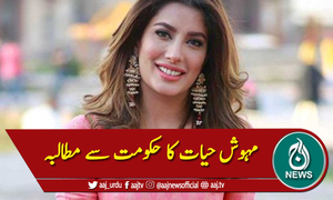 خواتین پر تشدد کیخلاف مہوش حیات بھی بول پڑیں