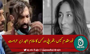 نورمقدم کیس ،تھراپی ورکس کا ملازم امجد زیر حراست