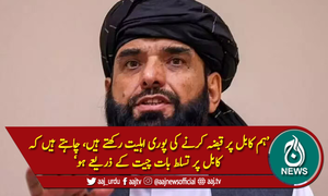 'طالبان جان بوجھ کر کابل پر قبضہ نہیں کررہے'