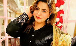 عائشہ اکرم کی ایف آئی اے میں درخواست