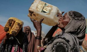 40 million more faced acute hunger in 2021: UN
