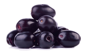 کیا آپ کو معلوم ہے جامن وٹامن سی کا بڑا ذریعہ ہے؟ کیا آپ کو معلوم ہے جامن وٹامن سی کا بڑا ذریعہ ہے؟