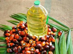 Palm oil export ban to be lifted by Indonesia from Monday, says President