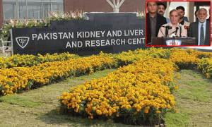 وزیراعظم نے گردے اور جگر کے اسپتال &lsquo;&lsquo;پی کے ایل آئی&rsquo;&rsquo; کا بورڈ بحال کردیا