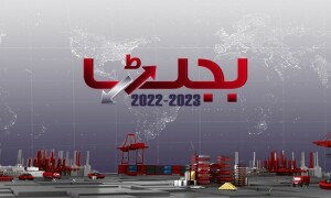 95 کھرب مالیت کا وفاقی بجٹ پیش، سرکاری ملازمین کی تنخواہوں میں اضافہ