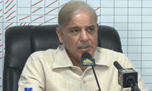 &lsquo;Historic&rsquo; inflows in Roshan Digital has PM Shehbaz beaming