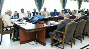 PM Shehbaz approves import of coal from Afghanistan in Pak rupee