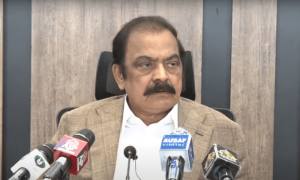 Shahbaz Gill suffered no torture in police custody: Sanaullah