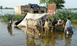 Floods, other water related disasters could cause $5.6 increase in ecomomy by 2050: report