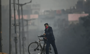 Heatwaves and wildfires to worsen air pollution: UN