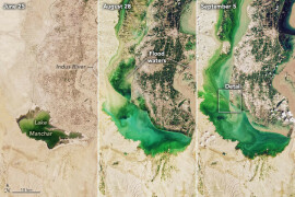 Dangerously high water levels endanger Bhan Syedabad, villages around Manchar Lake
