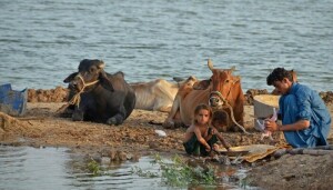 Floods inflict $12 bn loss on Pakistan&rsquo;s economy - report