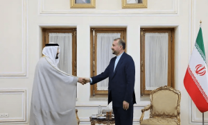 Iran wants closer ties with UAE: foreign minister
