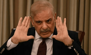 &lsquo;All hell to break loose&rsquo; warns PM Shehbaz over world&rsquo;s inadequate response on floods