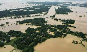 Pakistan lost over 1,76,153 acre crops due to floods: NFRCC