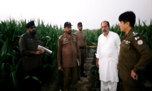 Khanewal child rapist a repeat offender