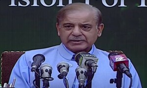 PM Shehbaz rules out possibility of military intervention