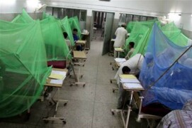 Dengue infects 296 more across Pakistan