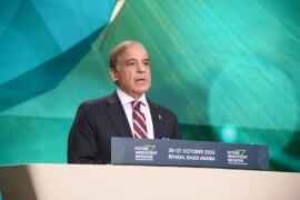 PM Shehbaz calls for investing in solar, wind, hydel energy