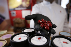 The kick comes at the end - world&rsquo;s hottest chili flavours French chocolates