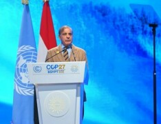 At COP27, PM stresses joint efforts to support climate-hit developing countries