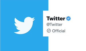 Two blue ticks on Twitter: What&rsquo;s the difference?
