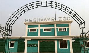 Peshawar Zoo to let public adopt animals