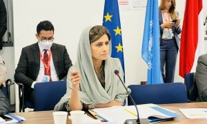 High-level Pakistan delegation to visit Afghanistan on Nov 29