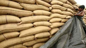 ECC approves bids for 580,000 MT wheat imports