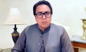 شہباز گل کے خلاف کراچی میں مزید دو مقدمات درج