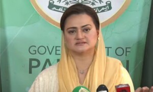 ڈیلی میل کے صحافی کو پاکستان بلاکر سازش کی گئی، مریم اورنگزیب