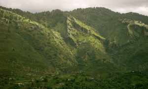 Islamabad turns hiking trail into leopard reservation