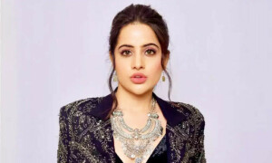 گرفتار نہیں کیا گیا، عرفی جاوید نے ساری کہانی بتادی