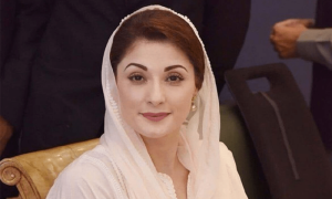 شہباز شریف نے (ن) لیگ کی باگ دوڑ مریم نواز کے حوالے کردی