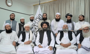 Obey or leave: NGOs torn over Taliban ban on women staff
