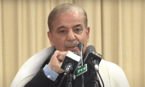 عمران خان کو 4 سال تک مکمل سپورٹ ملی، آج وہ جنرل باجوہ پر تنقید کرتے ہیں، وزیراعظم